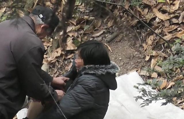 树林老头偷腥视频播放