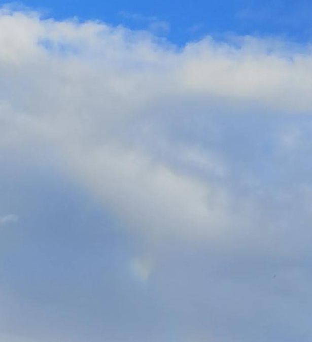 彩虹视频免费观看