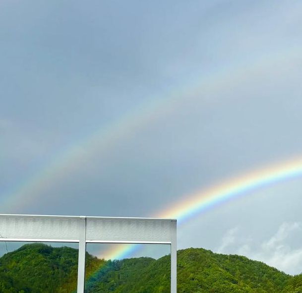 彩虹视频免费观看
