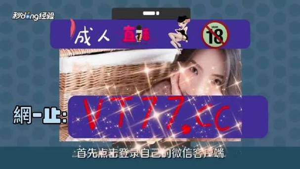 宅男基地在线观看