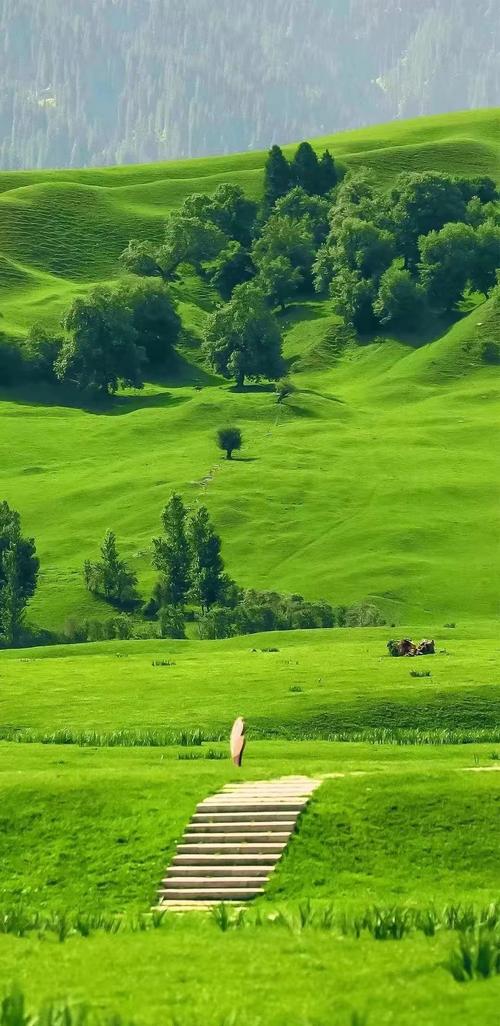 亚洲青青草原天天