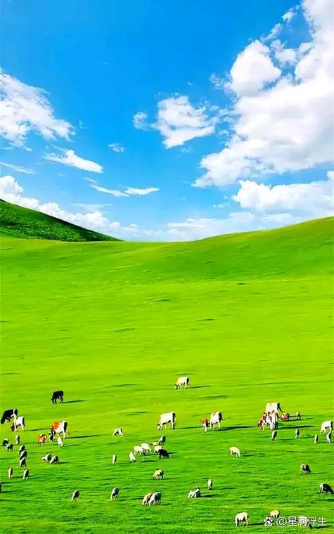 亚洲青青草原天天