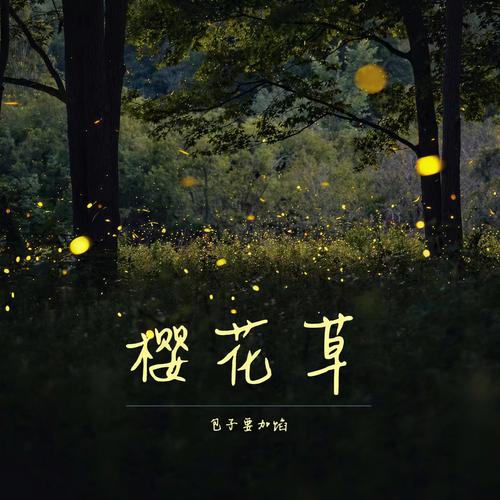 樱花草中文在线观看高清视频www