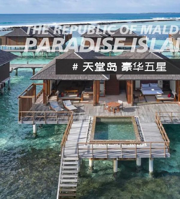 天堂岛www中文资源在线