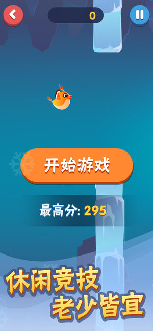 菜鸟历险记最新版