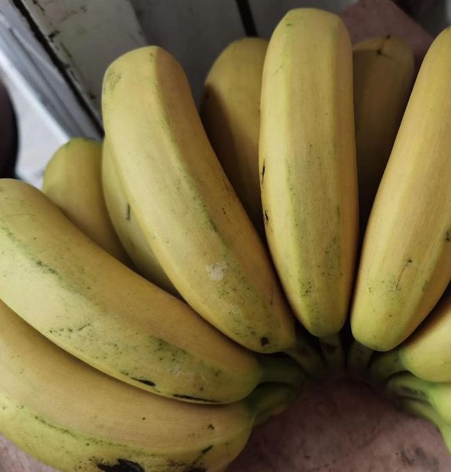 大香线蕉视频在线观看75