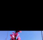 桃花社区视频最新免费版