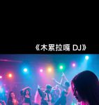 午夜dj视频大全