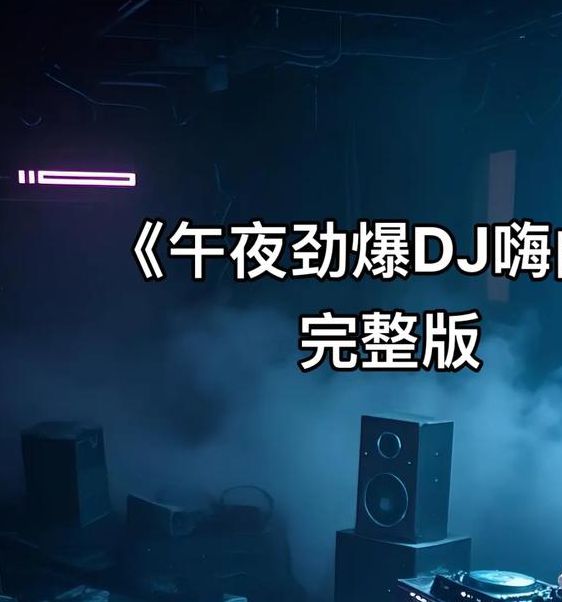 午夜dj视频大全