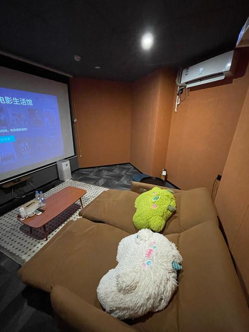 私人小影院免费版