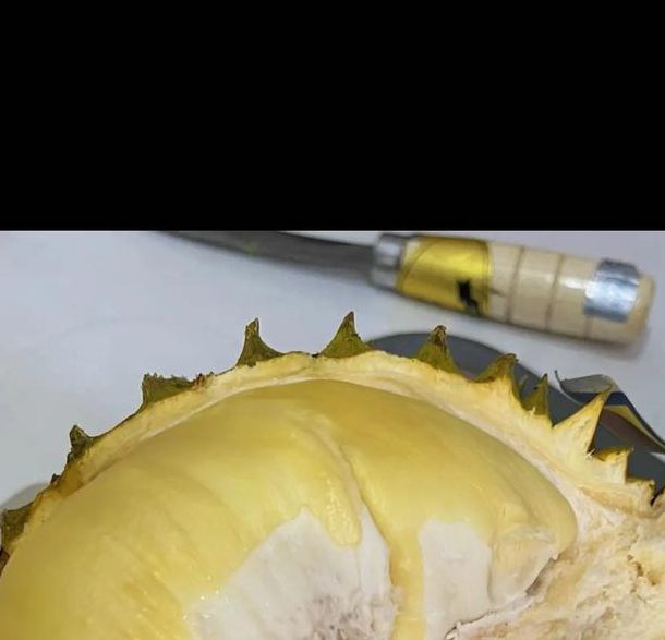 榴莲视频正版进入链接