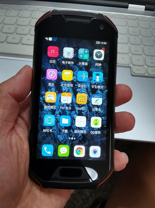 japonensis sixamirka