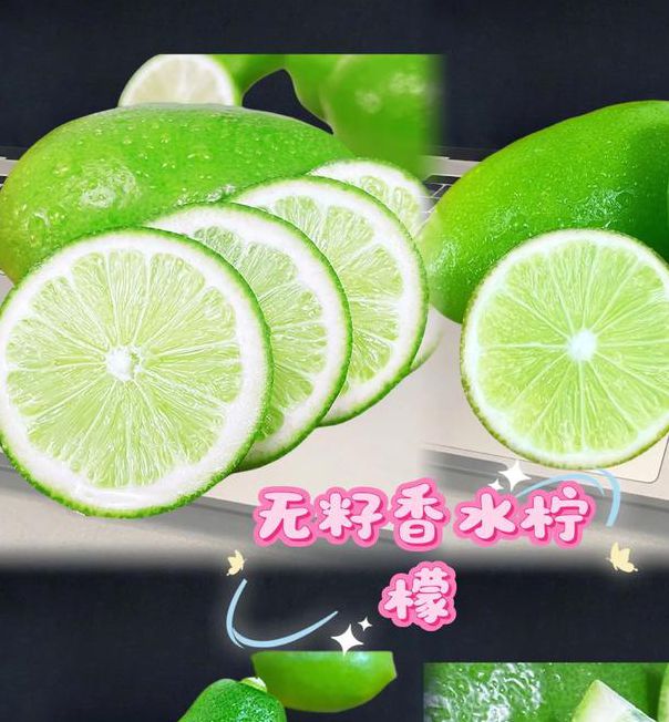 青柠视频在线观看高清bd