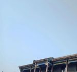 小青楼网址在线看视频