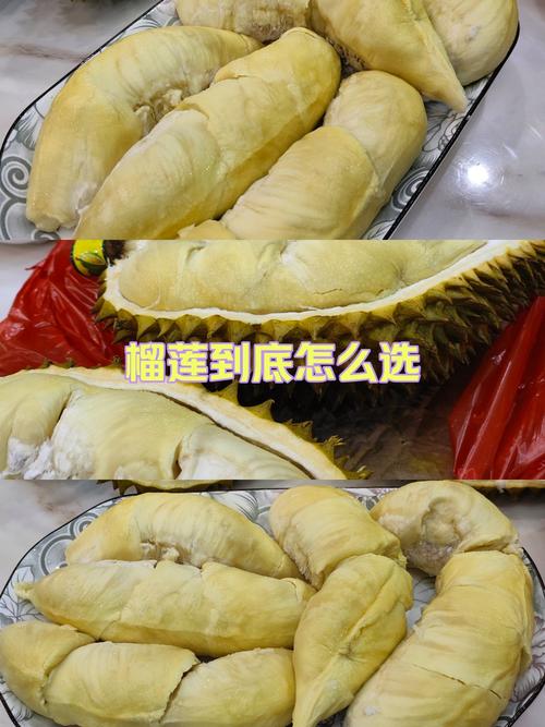 ll999榴莲aplaceholder