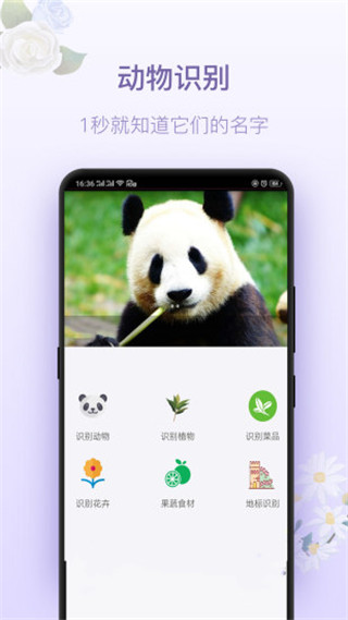 拍照识花神器2022