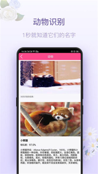 拍照识花神器2022