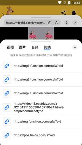 袋鼠直播体育app