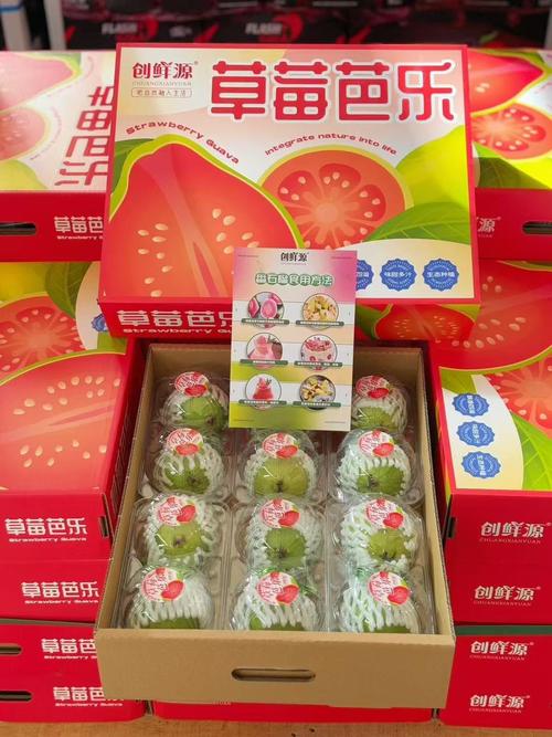 芭乐榴莲草莓最新版