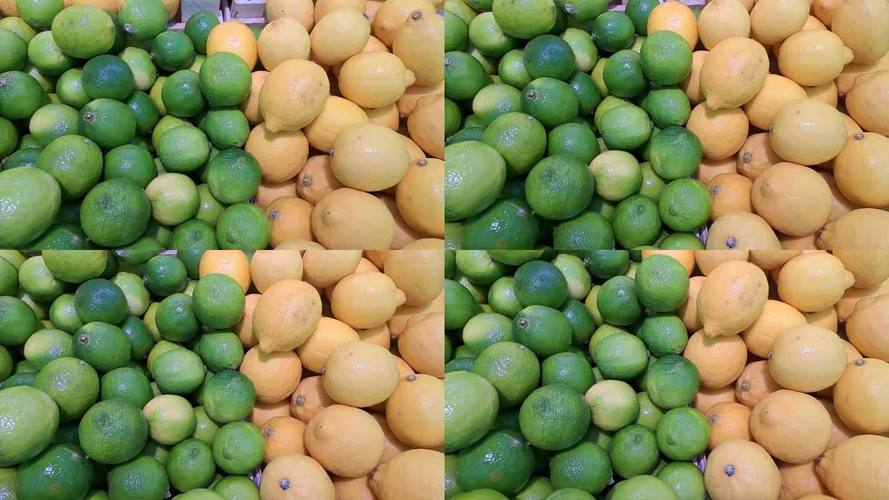 青柠视频免费高清