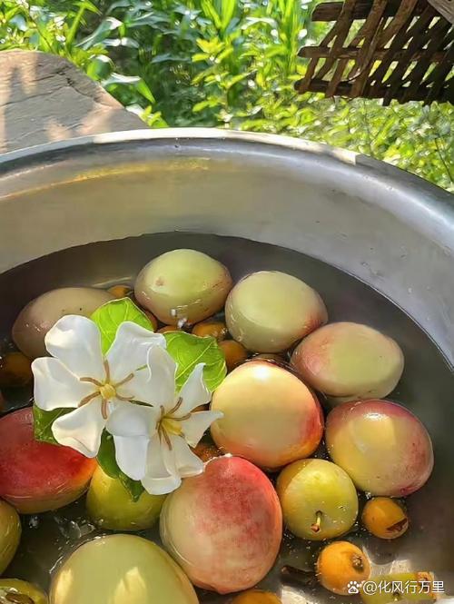 丝瓜黄瓜草莓茄子樱桃