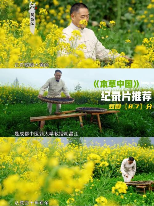 本草中国免费观看完整版在线