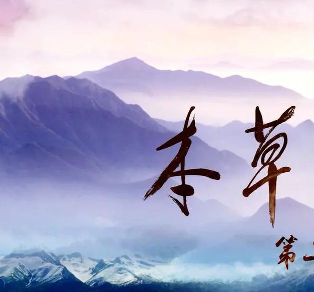 本草中国免费观看完整版在线