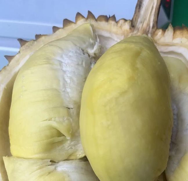 榴莲视频无限次数