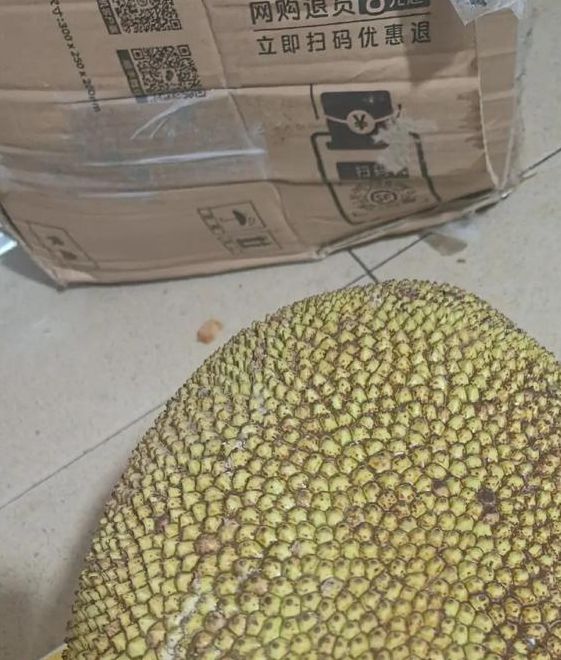 bml3xy2菠萝蜜国际加速通道91