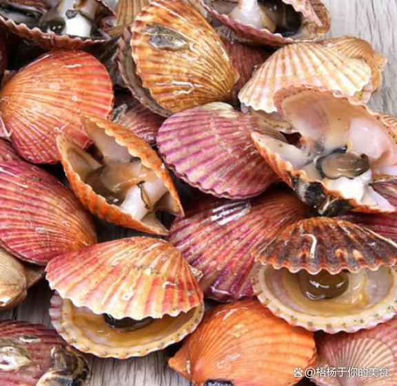 我想吃你扇贝里的水