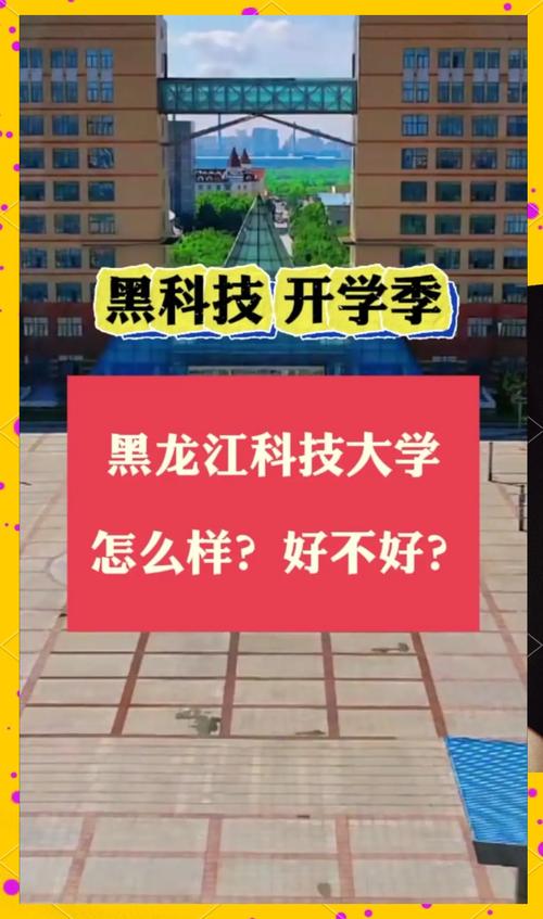 黑龙江科技大学视频种子