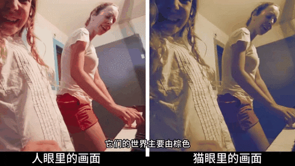 快活视频带你的眼睛看另一种世界