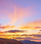 秋霞特色AA大片