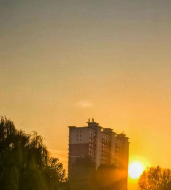 秋霞特色AA大片