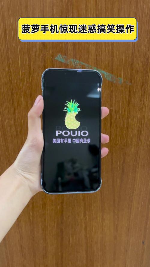 大菠萝1.0安卓版