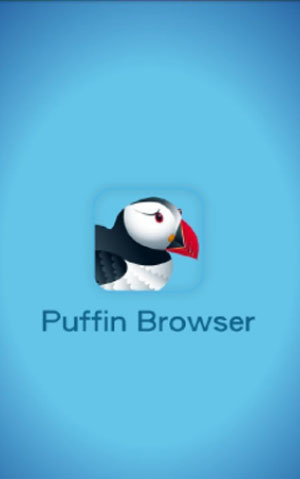 puffin浏览器2021最新版