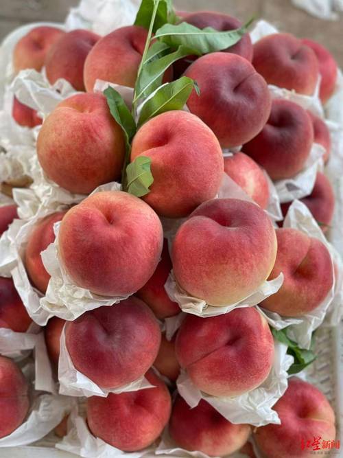 水蜜桃无码国产精品视频