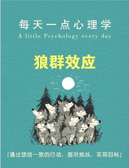 狼群社区免费观看完整版