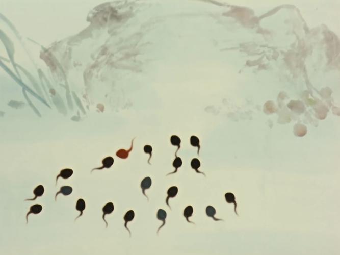 小蝌蚪免费下载哔哩哔哩