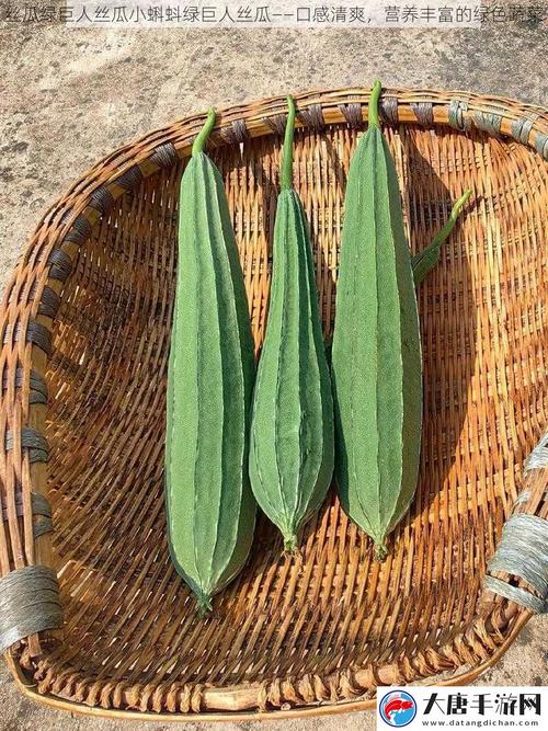 绿巨人草莓茄子丝瓜最新版