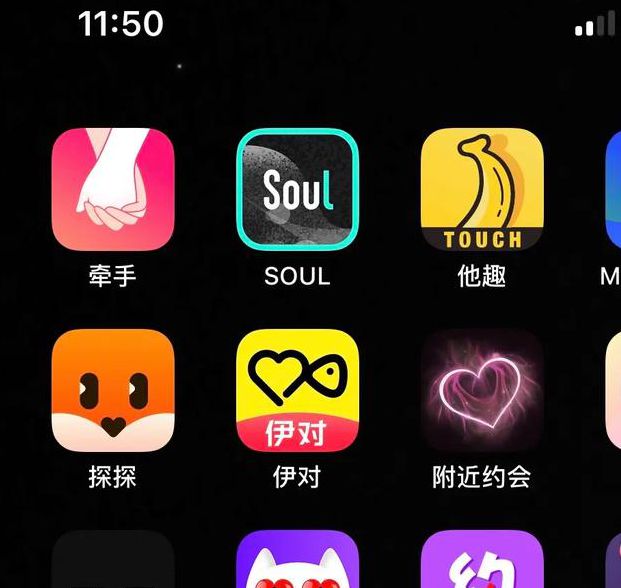 大秀什么意思网络用语