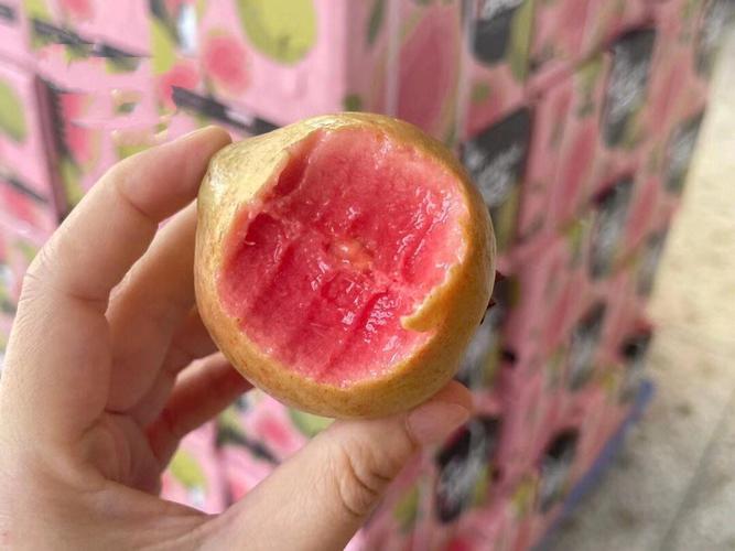 小小草莓芭乐18岁