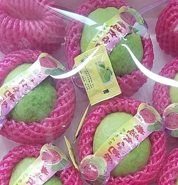 小小草莓芭乐18岁