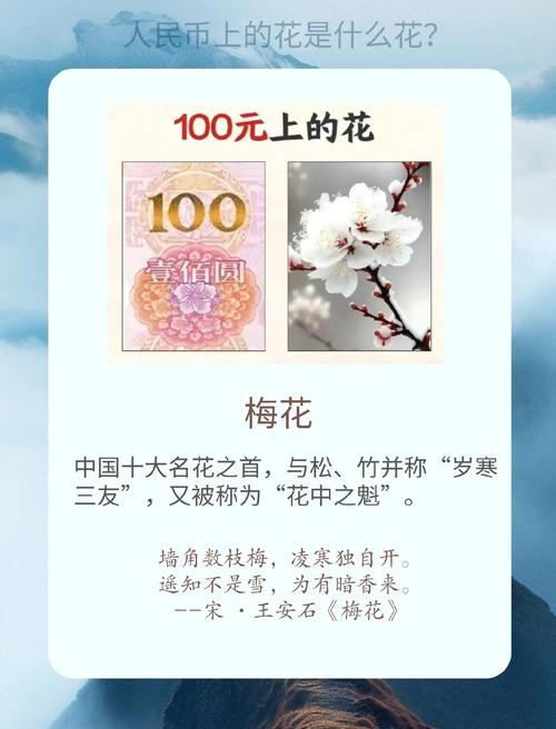 梅花视频不限次数看花钱么