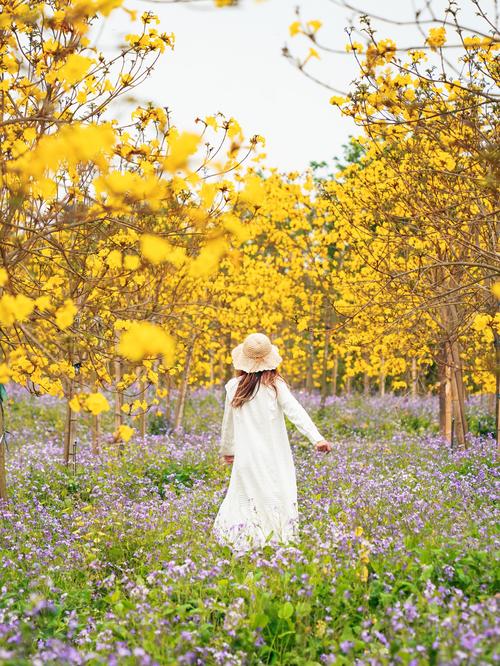 两个人黄花季高清