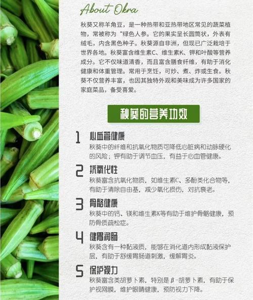 秋葵丝瓜绿巨人番茄黄