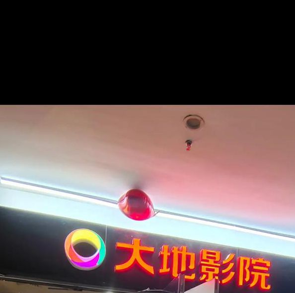 大地影院在线播放