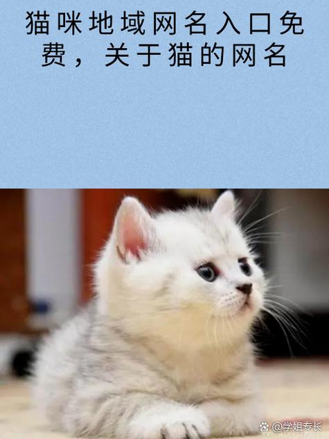 新版猫咪永久地域网名