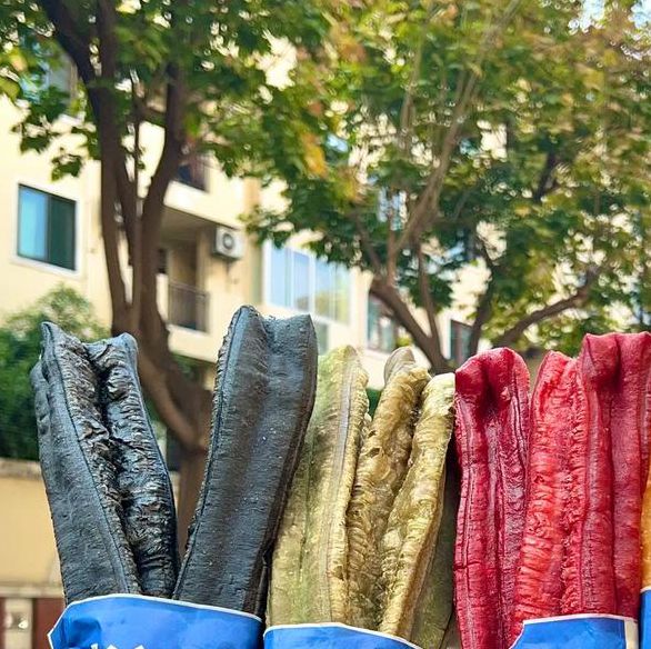 油条视频官方版