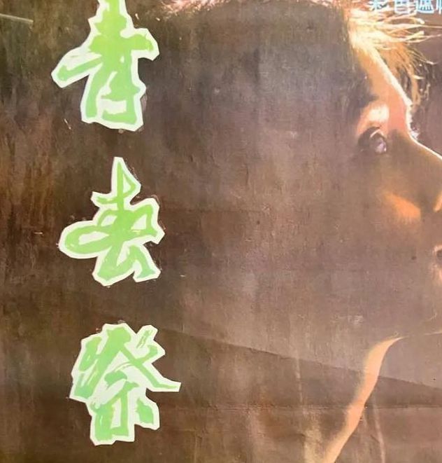 青春祭WWW在线电影